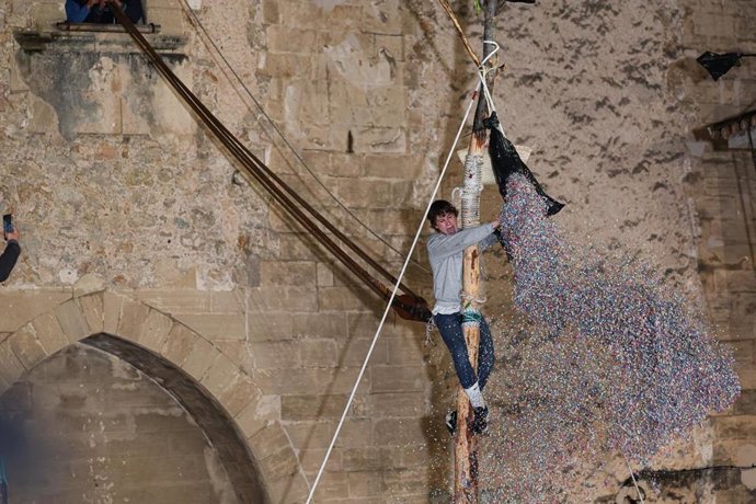 Joan Rebassa, nacido en 2008, corona un 'Pi de Sant Antoni' más corto de lo normal tras romperse por dos lados