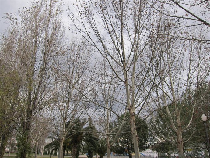 Archivo - Cielo con nubes. Imagen de archivo