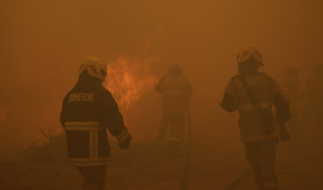 notibrasil sociedade