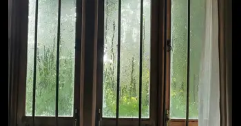 Por qué las ventanas "sudan" en invierno y el truco sencillo para reducir la condensación