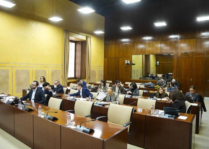 Archivo - Diputados en la comisión de Universidad, Investigación e Innovación del Parlamento andaluz. (Foto de archivo).
