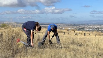 Cooperación y Desarrollo