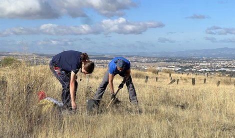 Cooperación y Desarrollo