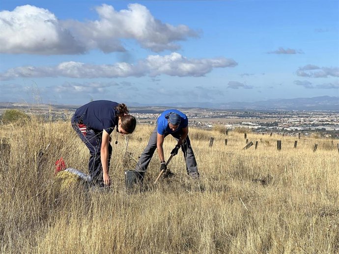 Personas realizando voluntariado