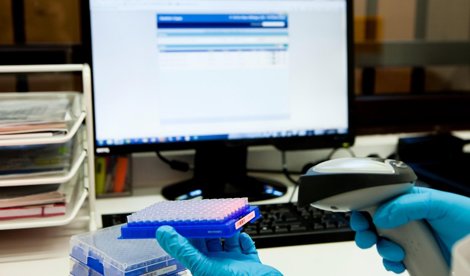 Es Andalucía - Sevilla