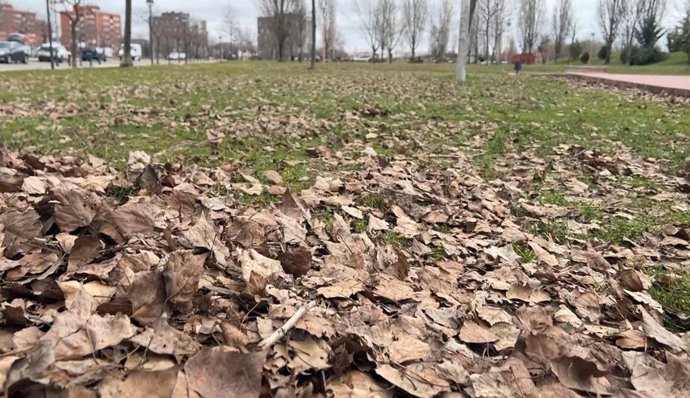 Uno de los parques municipales de Valladolid.