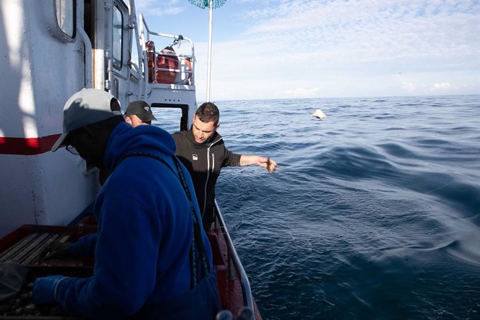 Un grupo de personas salen en barco a faenar en aguas del Cantábrico a especies como el pargo, el abadejo o la maragota, a 29 de diciembre de 2025, en Lugo, Galicia (España).