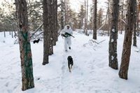 Rusia anuncia avances en su invasión de Ucrania con la toma de dos localidades en Donetsk y Zaporiyia