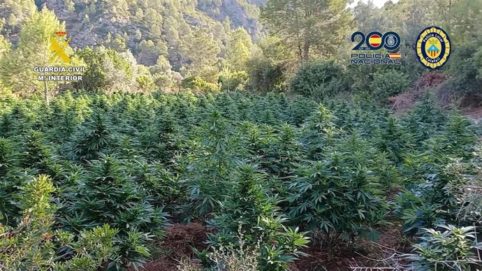 Vídeo de la noticia