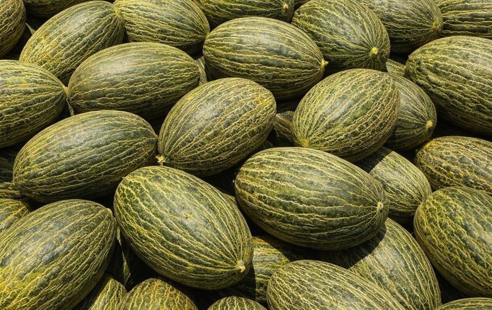 Melones de Brasil