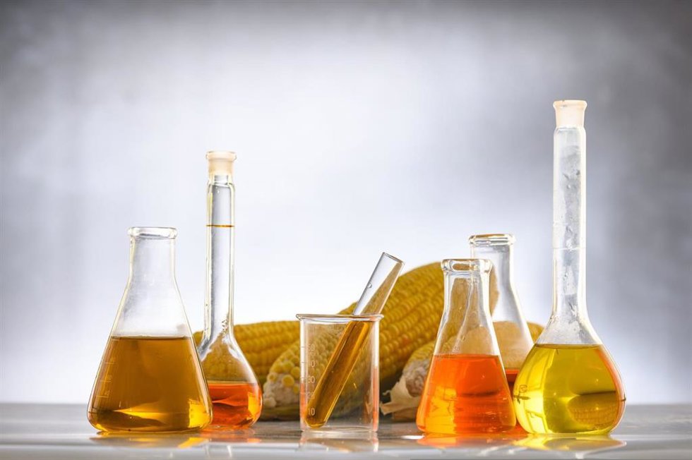 Las biorrefinerías utilizan productos muy abundantes a partir de plantas y agua para obtener biocombustibles./