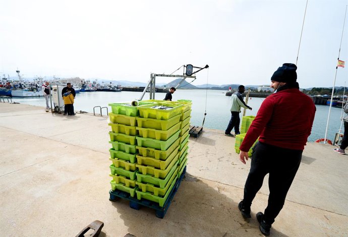 Archivo - La pesca subastada en lonjas de Cantabria baja un -3,7% en 2025 pero aumenta su valor hasta los 69 millones