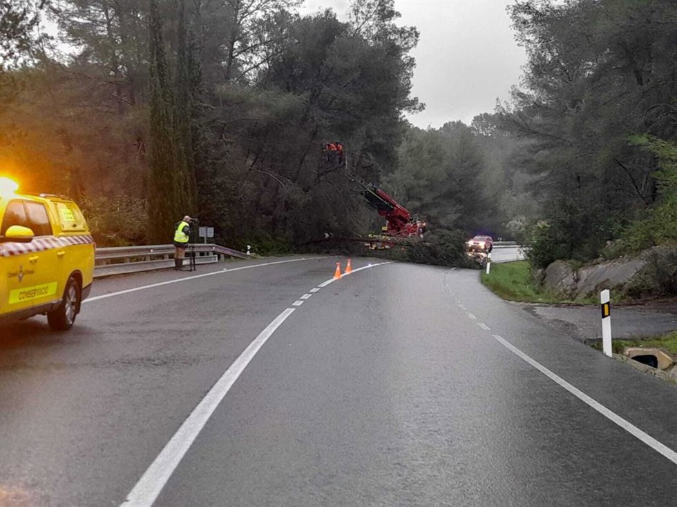 Retiran árboles caídos y desprendimientos de tierra en carreteras de Ibiza tras el paso de la borrasca