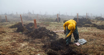 Comunicados Empresas