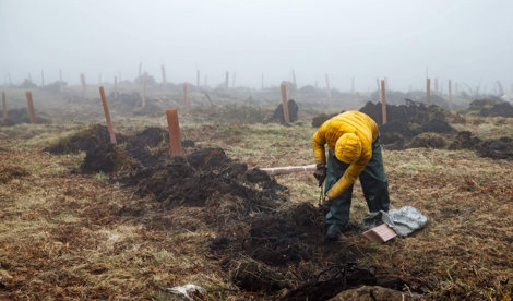 Comunicados Empresas