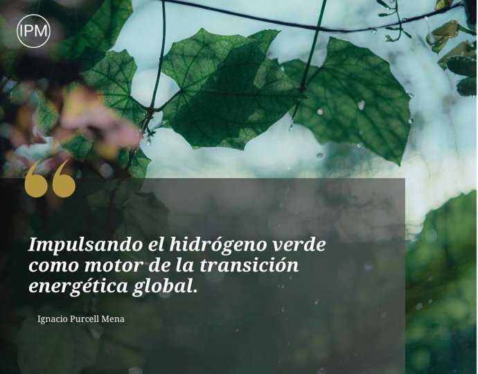 Ignacio Purcell Mena y la apuesta estratégica