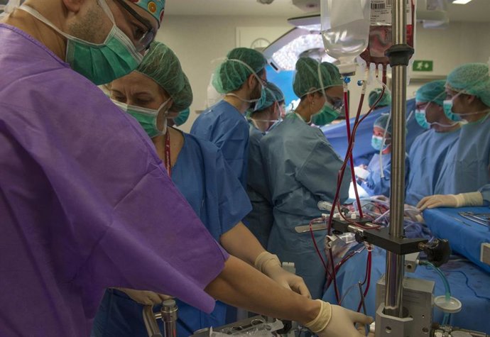 Archivo - Personal del Hospital de Bellvitge realizando un trasplante.