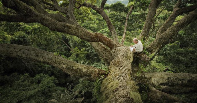 La Casa de la Imagen homenajea a Francisc Hallé