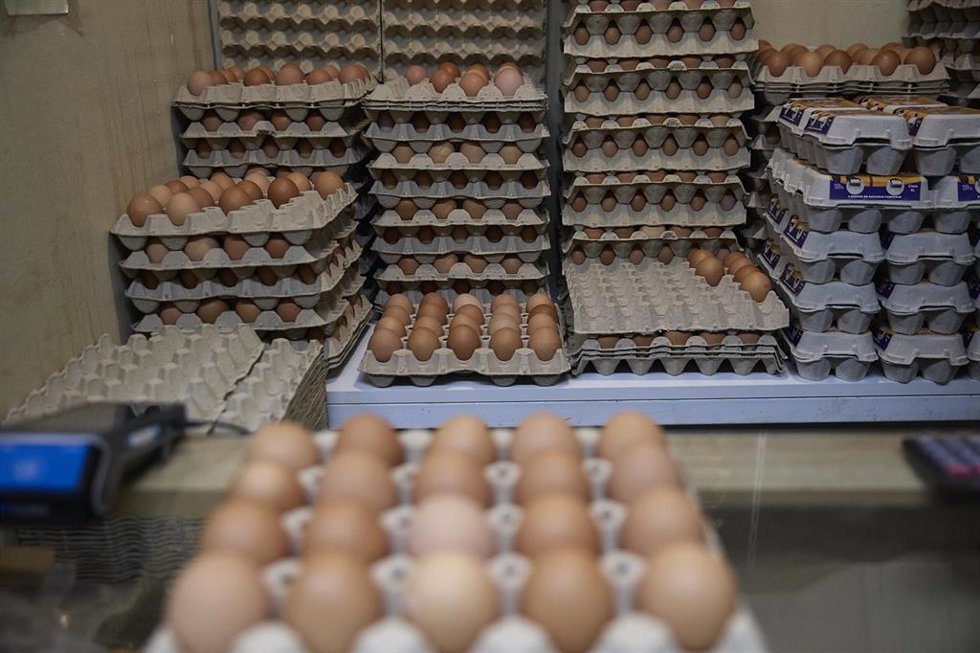 Archivo - Huevos