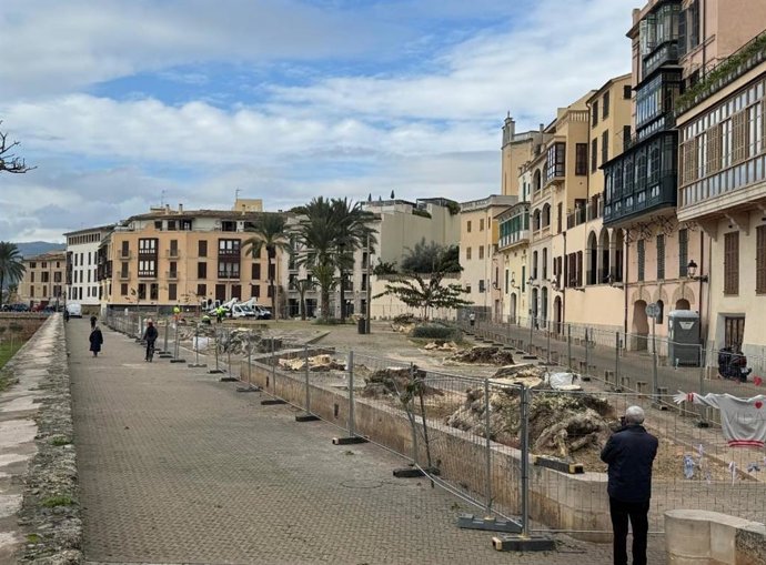 Archivo - Plaza Llorenç Villalonga de Palma con los bellasombras talados.
