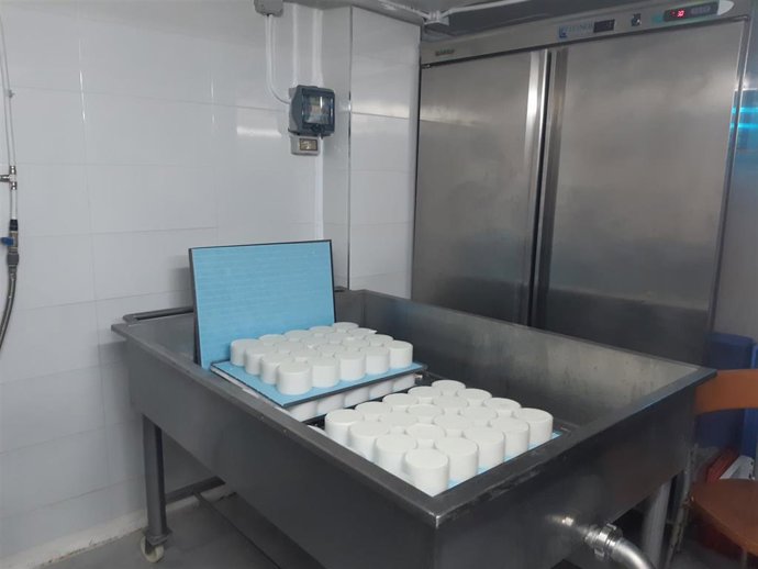 Archivo - Fabricación de queso.