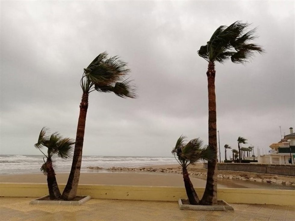 Archivo - Efectos de las fuertes rachas de viento en una imagen de archivo
