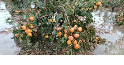 EpAgro - Agricultura