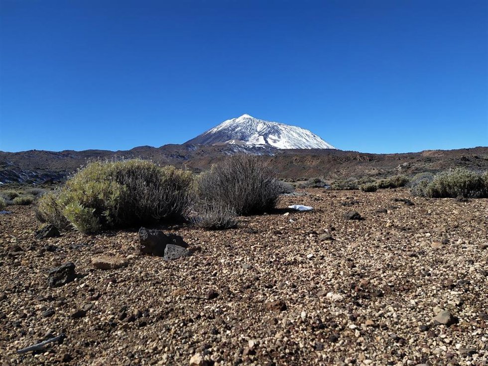 Archivo - El Parque Nacional del Teide (Tenerife)