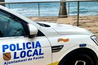 Palma aprueba la compra de un furgón eléctrico para la Policía Local