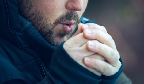 notibrasil sociedade