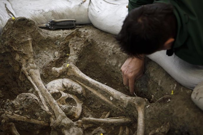 Archivo - Trabajos en una fosa común. Archivo.