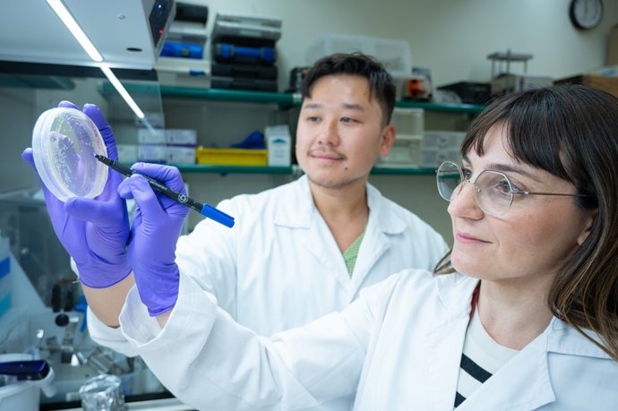 Archivo -  Laboratori del CSIC.