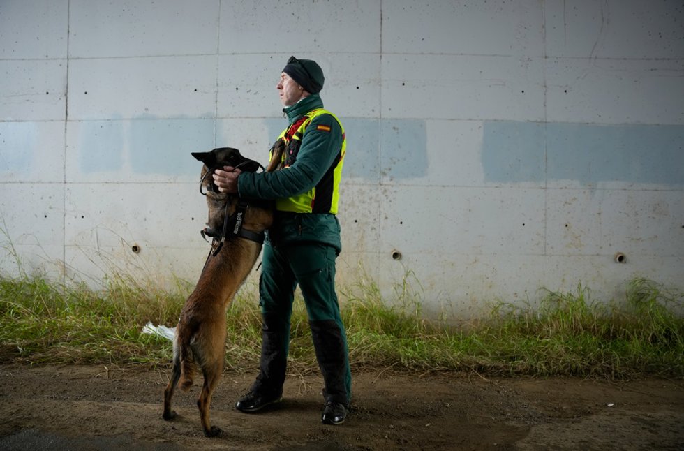 Un agente y un perro de la Unidad Cinológica de la Guardia Civil en Adamuz