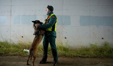 notibrasil política
