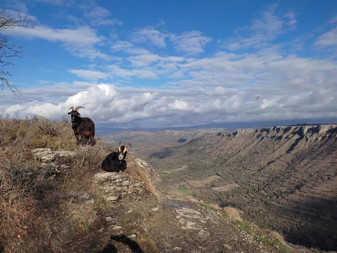 Archivo - Orduña (Bizkaia)