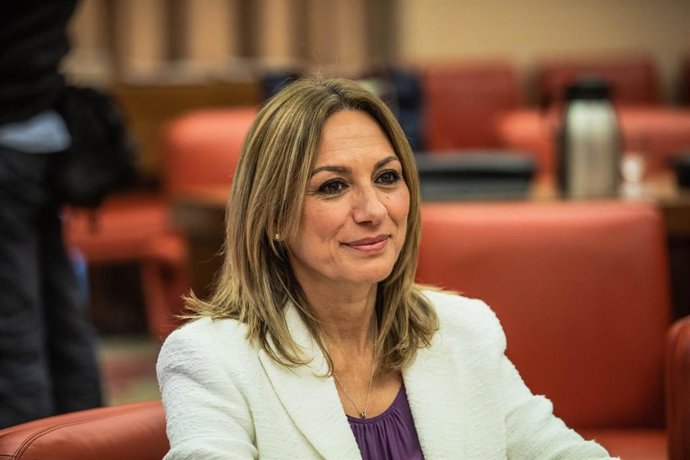 Archivo - La diputada de VOX en el Congreso por Sevilla, Reyes Romero.