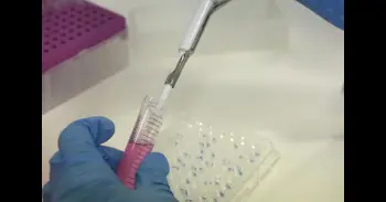 Un equipo de Oxford diseña proteínas con capacidad cuántica, abriendo una nueva frontera en la biotecnología