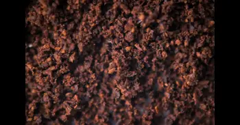 Cereales crujientes de chocolate de siempre: una alternativa casera, saludable y muy lograda