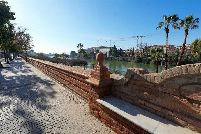 Bancos del Paseo de las Delicias de Sevilla.