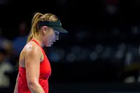 Noticia relacionada 2