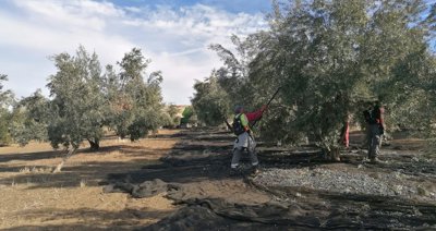 EpAgro - Agricultura