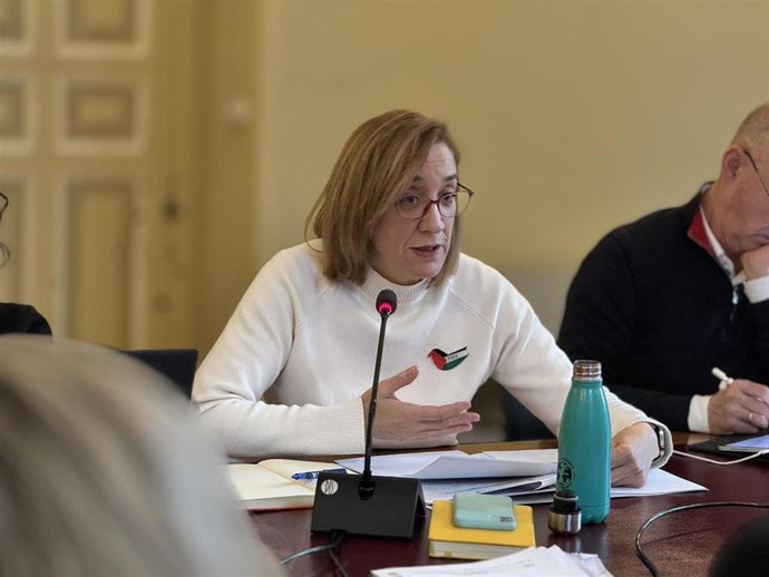 La portavoz del Grupo Municipal de Valladolid Toma la Palabra (VTLP), Rocío Anguita, en una comisión municipal en el Ayuntamiento de Valladolid.