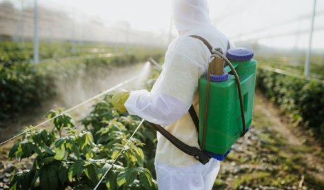 notibrasil sociedade