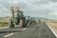 El campo extremeño convoca este viernes nuevas tractoradas en defensa de un modelo "justo, rentable y con futuro"