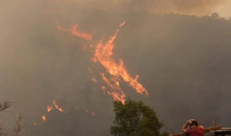 notibrasil sociedade