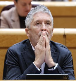 El ministro de Interior, Fernando Grande Marlaska, durante una sesión plenaria extraordinaria, en el Senado,a 15 de enero de 2026, en Madrid (España). 