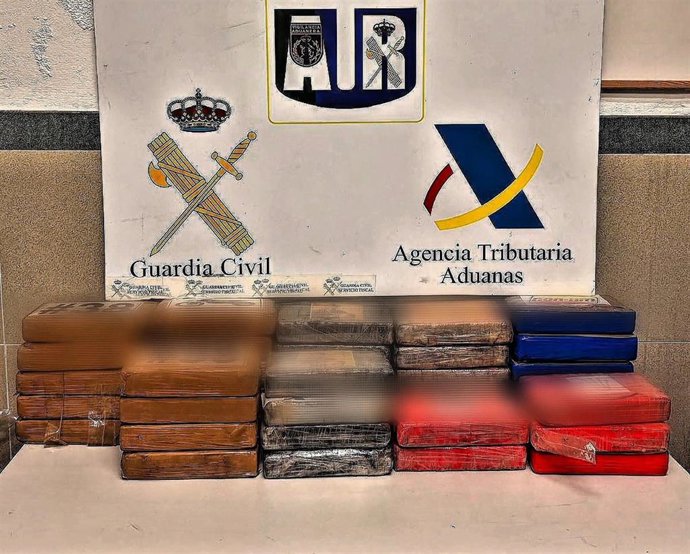 Los 38 fardos con 44 kilos de cocaína intervenidos en el doble fondo de un vehículo llegado al puerto de Palma.