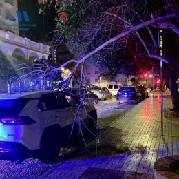 Bomberos del CPB realizan al menos ocho intervenciones a causa del viento en varios municipios de la provincia de Málaga.