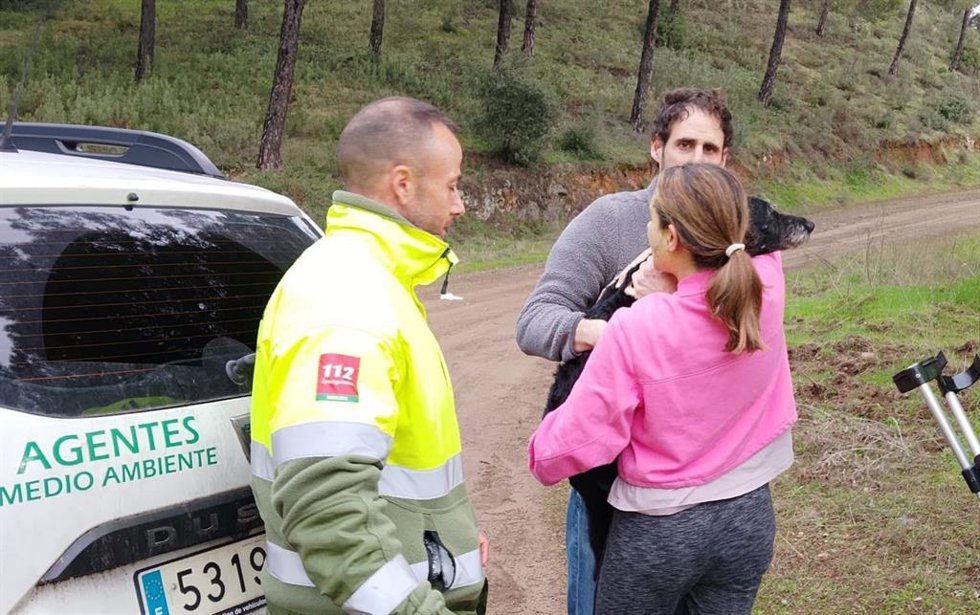 El Colegio de Veterinarios de Málaga ha ofrecido ayuda especializada gratuita a Boro, el perro superviviente del accidente ferroviario de Adamuz que este mismo jueves ha sido capturado y devuelto a sus propietarios.