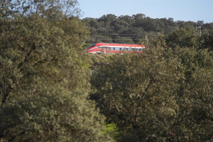 La búsqueda de fallecidos en el accidente ferroviario de Adamuz ha incluido el entorno forestal de la zona del siniestro.